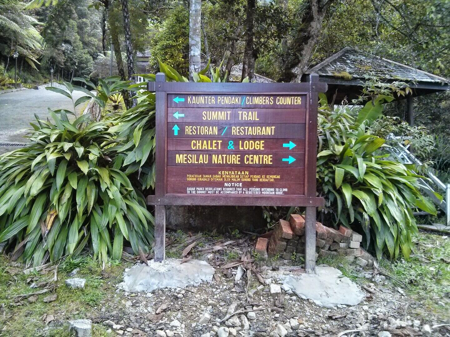 Mesilau Trail